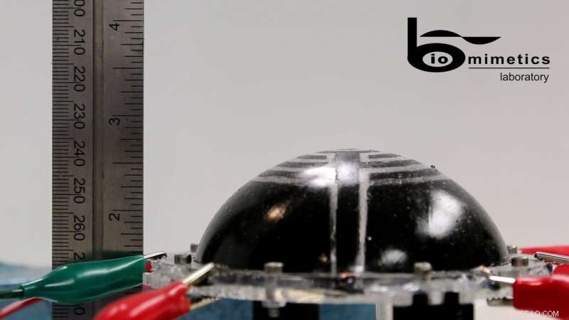 Advanced Inflatable Space Robots Equipped with Dielectric Elastomer Transducers