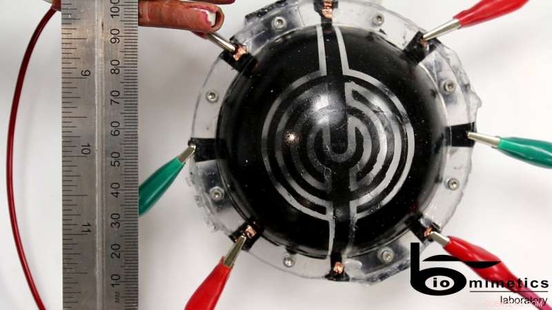 Advanced Inflatable Space Robots Equipped with Dielectric Elastomer Transducers