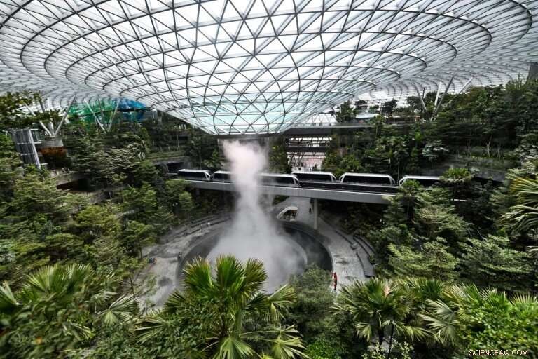 Singapore’s New Nature Dome at Changi Airport Set to Transform Travel Experience