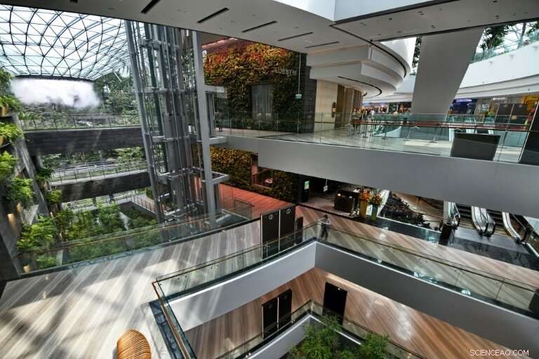 Singapore’s New Nature Dome at Changi Airport Set to Transform Travel Experience