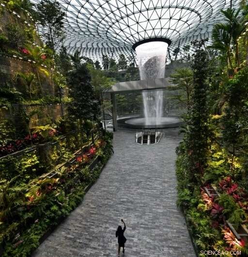 Singapore’s New Nature Dome at Changi Airport Set to Transform Travel Experience
