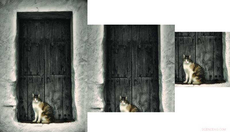 New AI Model Automatically Crops Photos Aesthetically and Intelligently