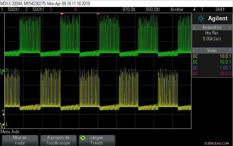 Bio‑Inspired Snake Robot Powered by Biomimetic Central Pattern Generators