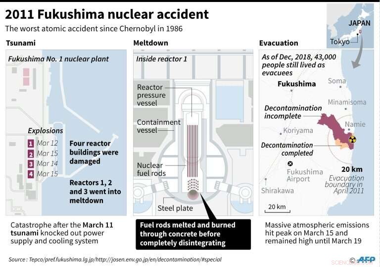 Fukushima Plant Begins Nuclear Fuel Removal Amid Ongoing Recovery