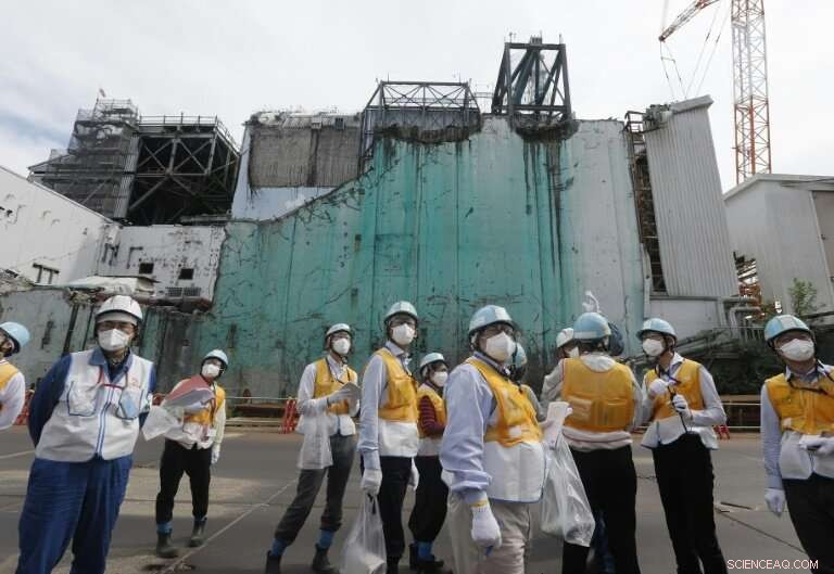 Fukushima Plant Begins Nuclear Fuel Removal Amid Ongoing Recovery