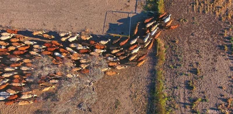 Farmers Generate Massive Data Yet Lack Control Over Its Use and Destination