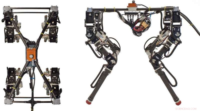 Innovative Approach Enhances Quadruped Robot Mobility and Resilience