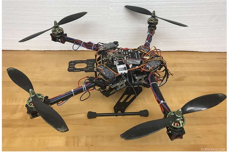 Insect‑Inspired Arm Design Enhances Drone Performance in Windy Conditions