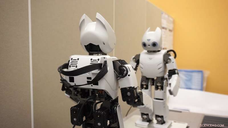 Neurorobotics: Advancing Robot Communication Through Bio-Inspired Neural Models