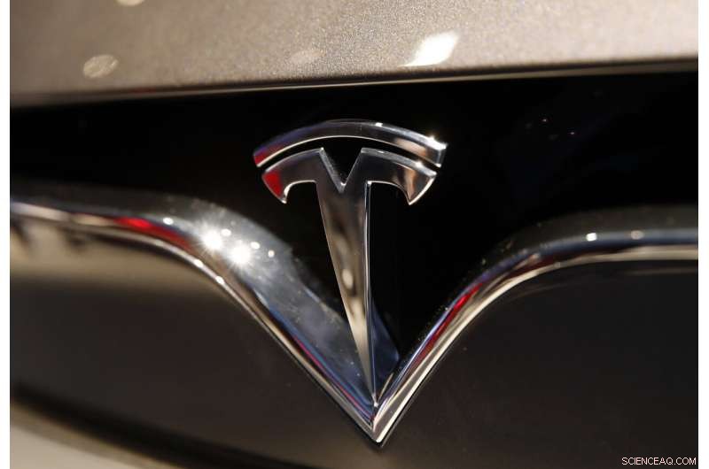 Tesla CEO Aims to Deliver Driverless Cars by 2025