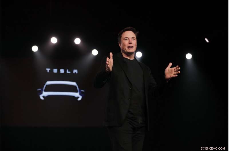Tesla CEO Navigates Risky Path to Drive Profit Growth