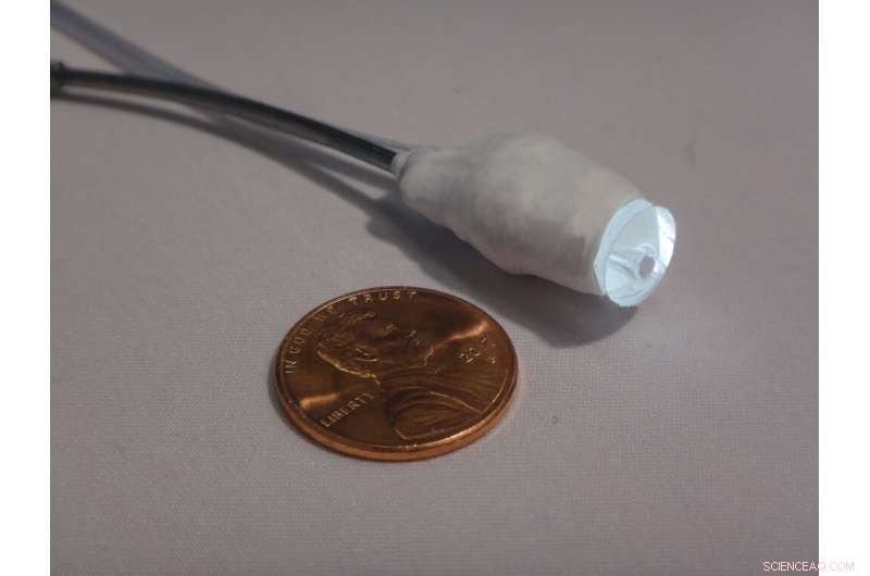 Pioneering Autonomous Navigation Inside the Body: A Breakthrough in Medical Robotics