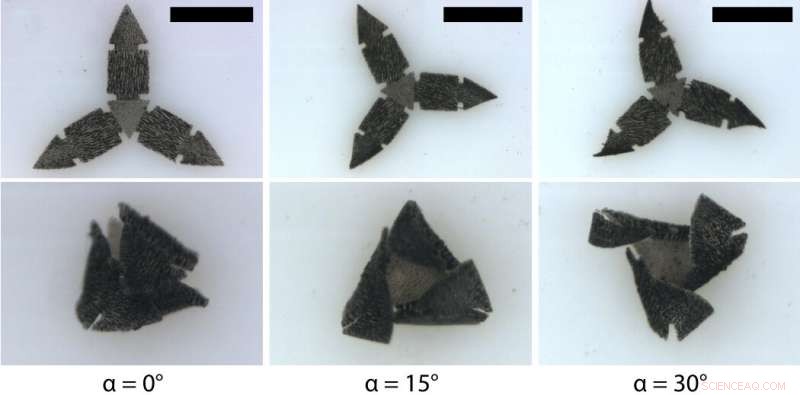 Researchers Achieve Automated Microrobot Design—No Assembly Required