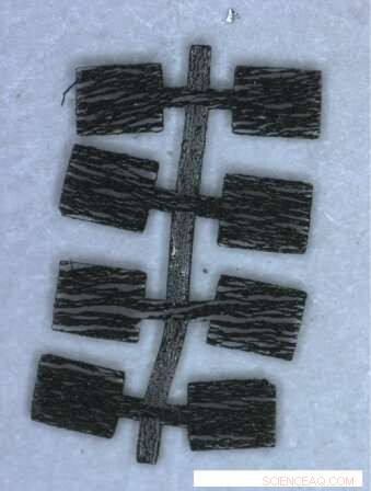 Researchers Achieve Automated Microrobot Design—No Assembly Required