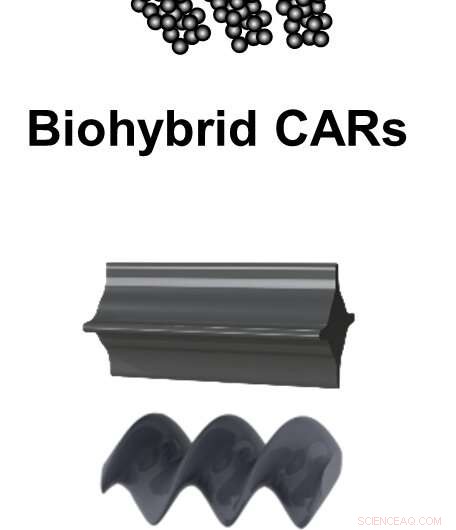 Microrobots Offer a Precise Solution for Dental Plaque Removal