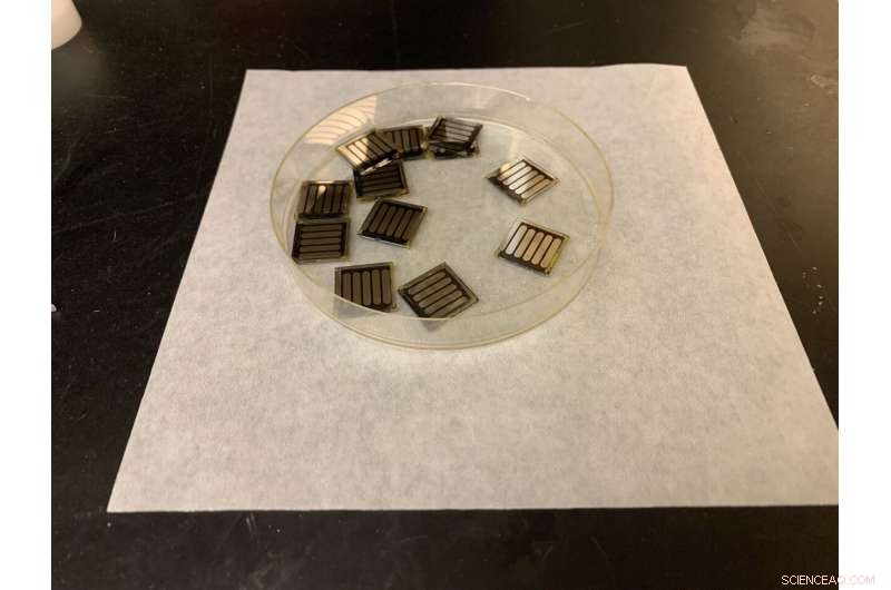 Caffeine Boosts Solar Cell Efficiency, Study Finds