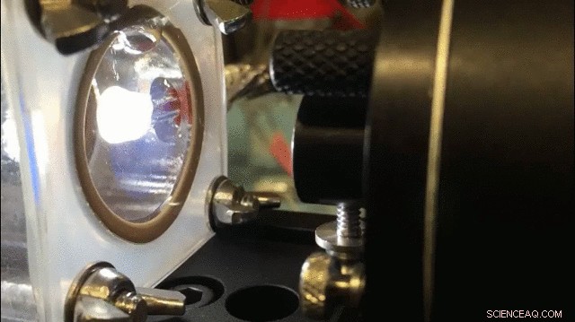 Solar-Powered Hydrogen Extraction from Wastewater: A Breakthrough in Clean Energy