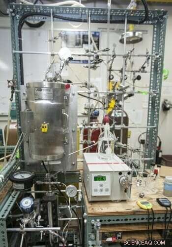 Bio-Based Chemicals Offer a Path to Lower Fossil Fuel Consumption