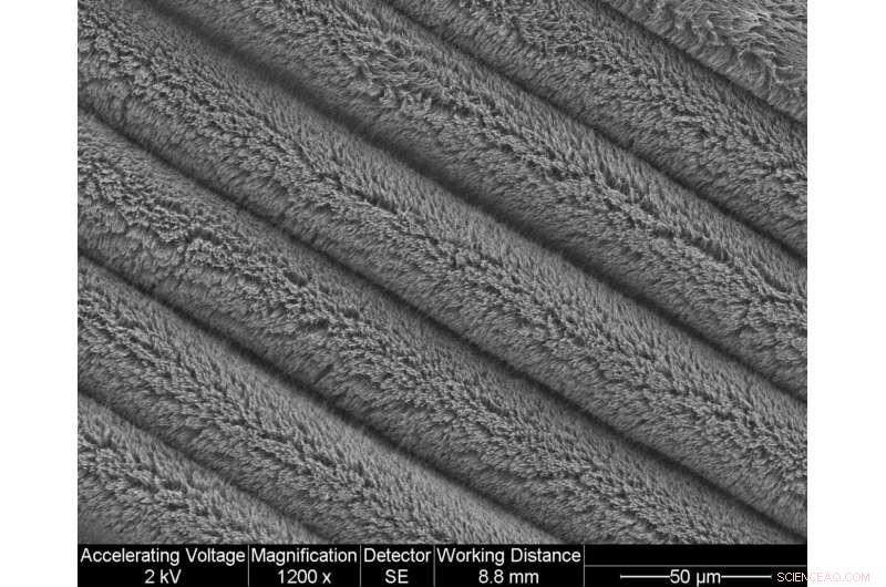 Self‑Powered Wearable Technology: Carbon Nanotube Innovation