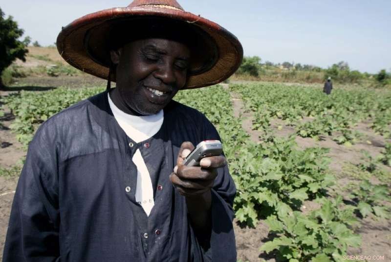 Smart Technology Empowers African Farmers
