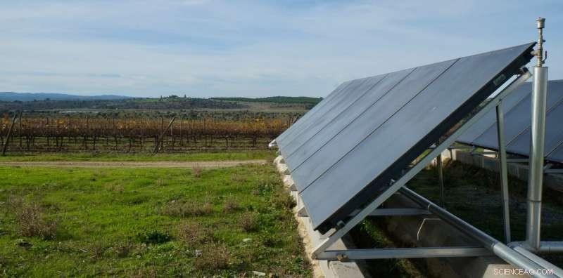 Community-Generated Energy Gains Momentum to Become Mainstream