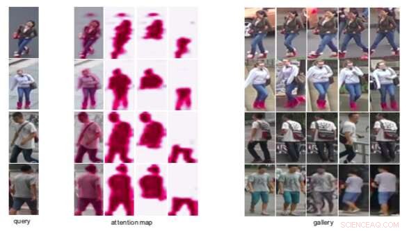 Multi‑Scale Body‑Part Mask Attention Network Boosts Person Re‑Identification