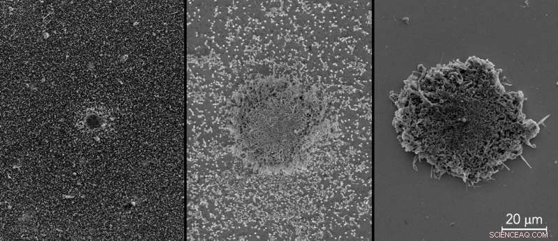 Uncovering Battery Hotspots: A Path to Safer Energy Storage