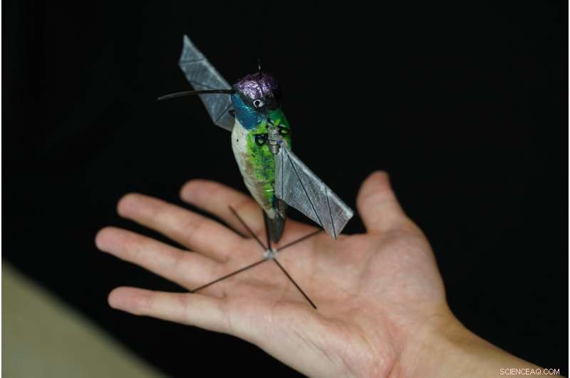 Purdue’s AI‑Powered Hummingbird Robot Will Reach Places Drones Can’t