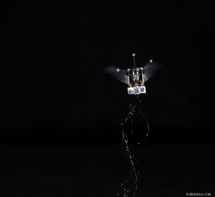 Purdue’s AI‑Powered Hummingbird Robot Will Reach Places Drones Can’t