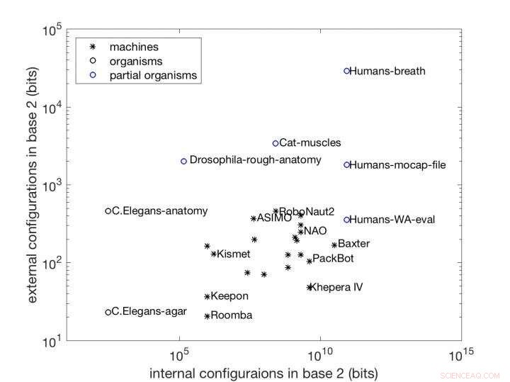 Scientists Reveal Innovative View on Robotic Capabilities
