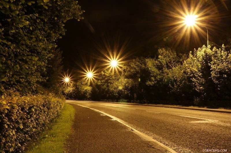 Global Study Highlights Gaps in Light Pollution Regulations, Advocates for Paradigm Shift