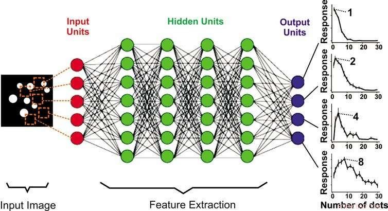 AI Achieves Human‑Like Number Sense—Bridging the Gap Toward General Intelligence