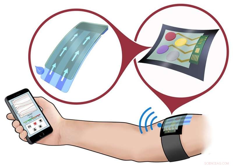 Blood & Sweat Data Elevate Training Apps to New Performance Levels