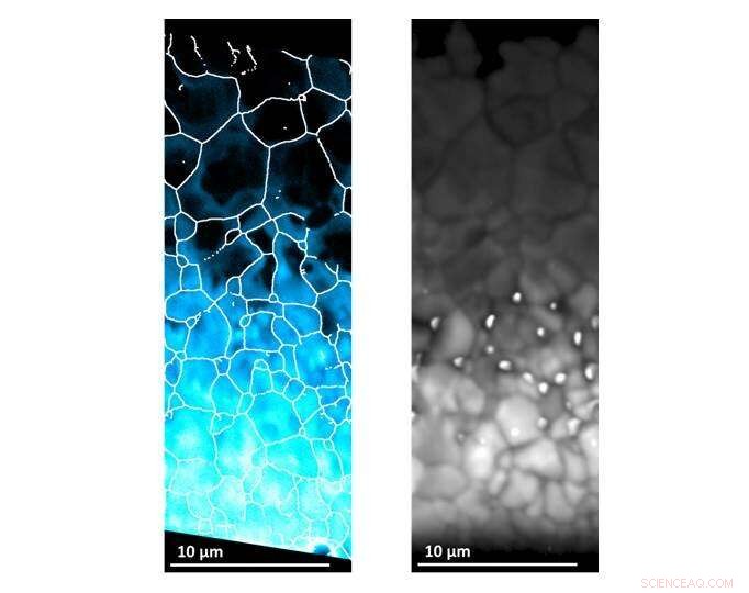 Scientists Crack Key Puzzle to Boost Solar Panel Efficiency