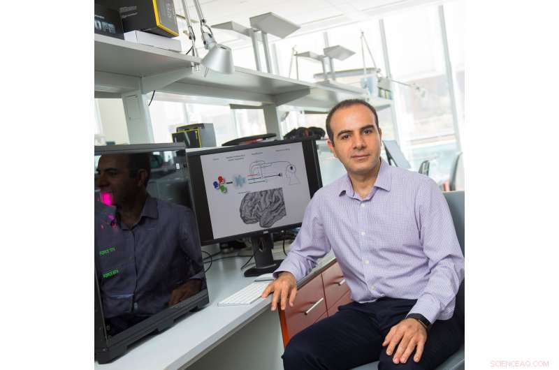 Brain‑Controlled Hearing Aid Pinpoints the Voices You Want to Hear