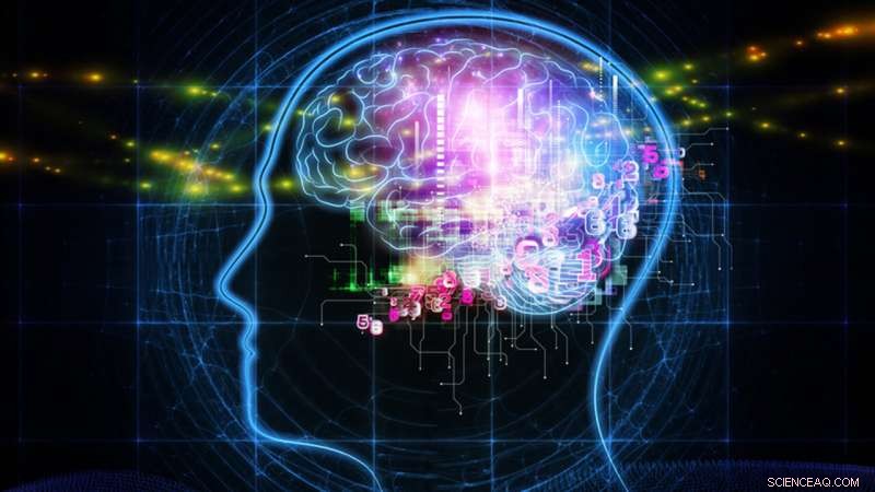 Innovative AI Framework Boosts Continual Learning, Minimizing Forgetting