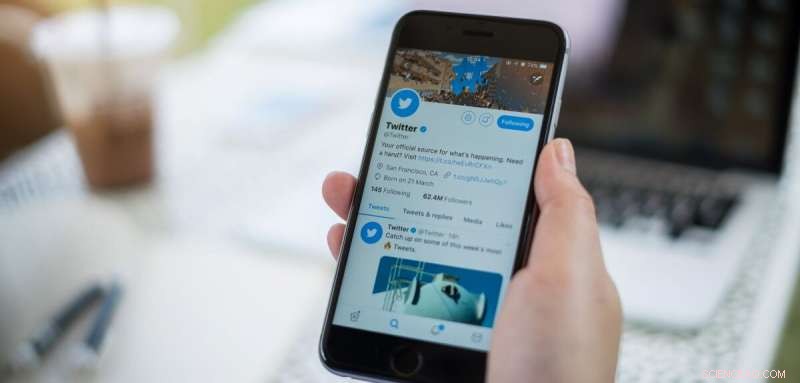 AI Algorithm Accurately Determines Age and Gender from Twitter Profiles