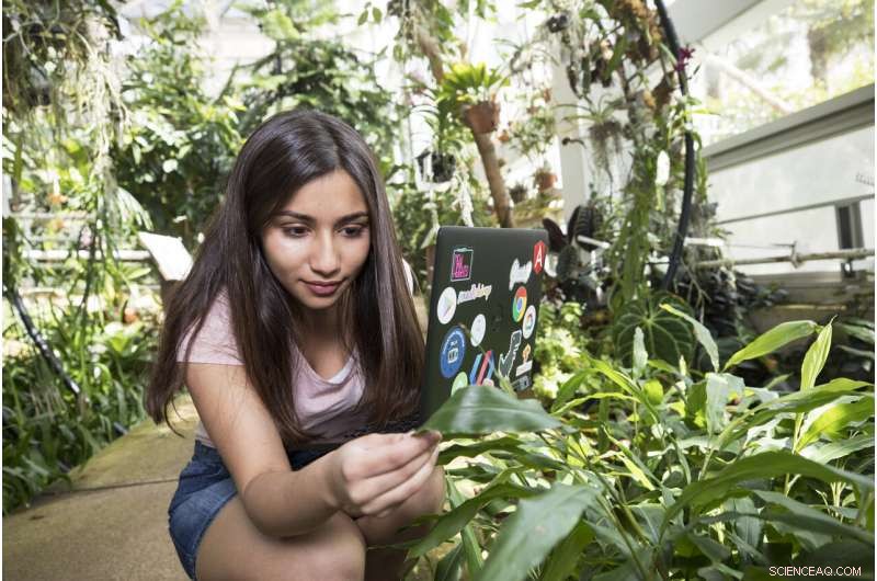 Student Uses AI to Diagnose Plant Diseases, Enhancing Early Detection