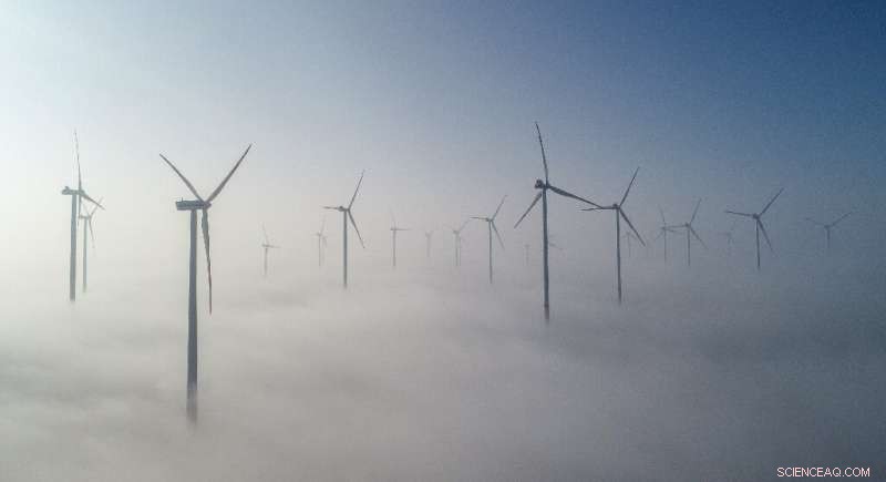 Fuel Subsidies Persist Amid Climate Alarm, Undermining Green Economy