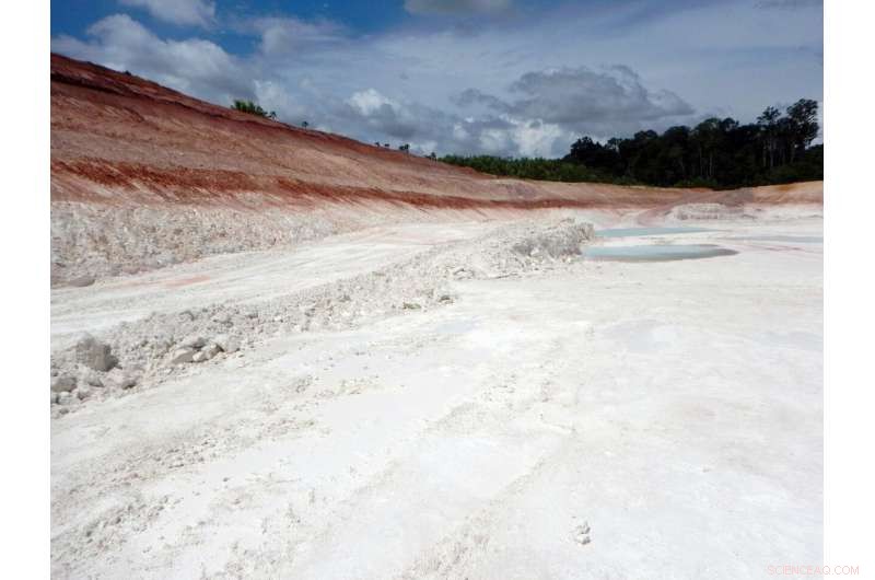 Cement’s Climate Impact: Transforming Industrial Waste into Carbon‑Neutral Alternatives