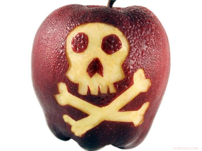 Real‑Time Smart Device Detects Food Contaminants, Enhancing Food Safety