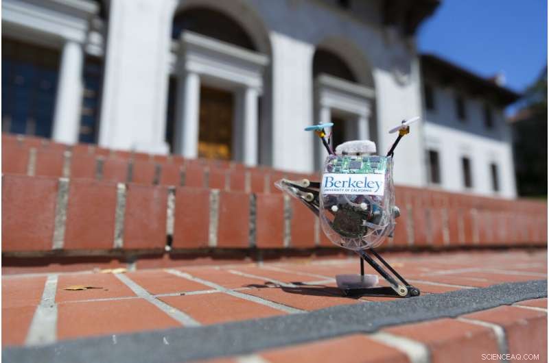 UC Berkeley s Salto Robot Soars Over Obstacles, Mastering Pogo-Stick Bounces and Agility Courses