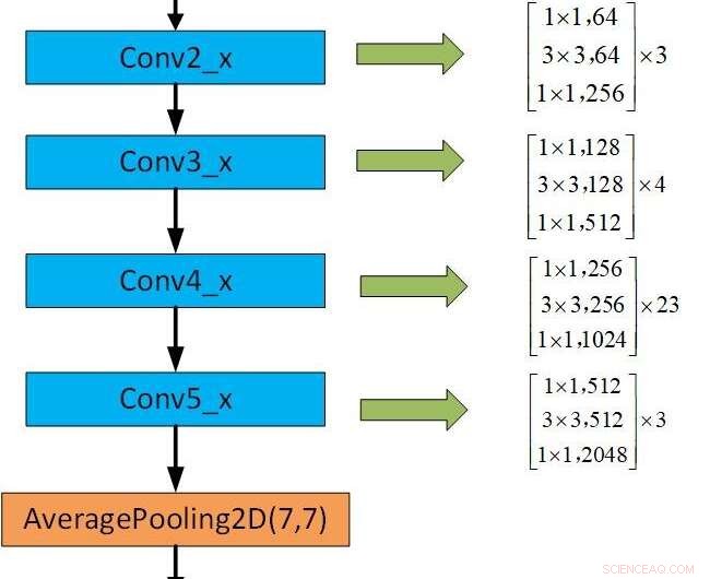 Advanced CNN Models for Robust Facial Expression Recognition in Real-World Conditions