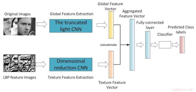 Advanced CNN Models for Robust Facial Expression Recognition in Real-World Conditions