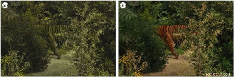 Deep Neural Network for Adaptive Color Optimization: Blend or Stand Out Against Any Background