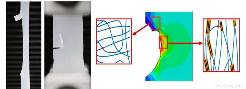 New Breakthrough in Stretchable Electronics Materials Unveiled by Researchers