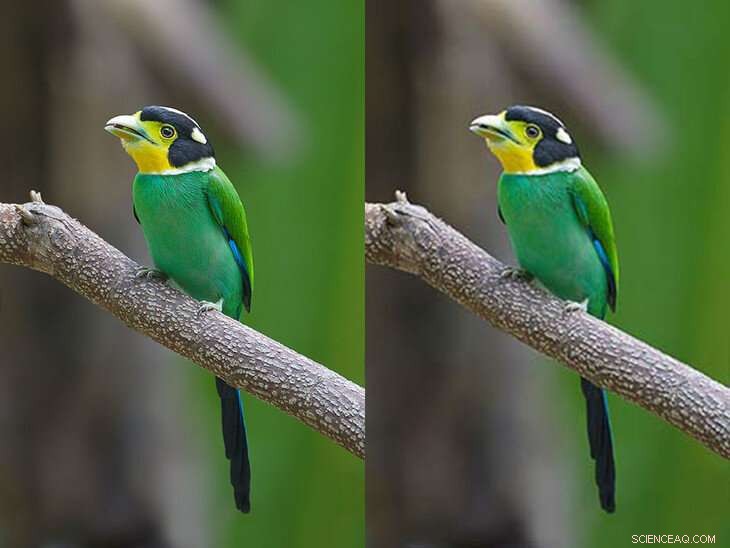 AI-Powered Algorithm Enhances Photo Storage and Accelerates Video Sharing