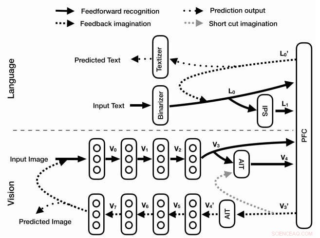 Oxford Researchers Develop Language‑Guided Network to Replicate Human Thought in Machines