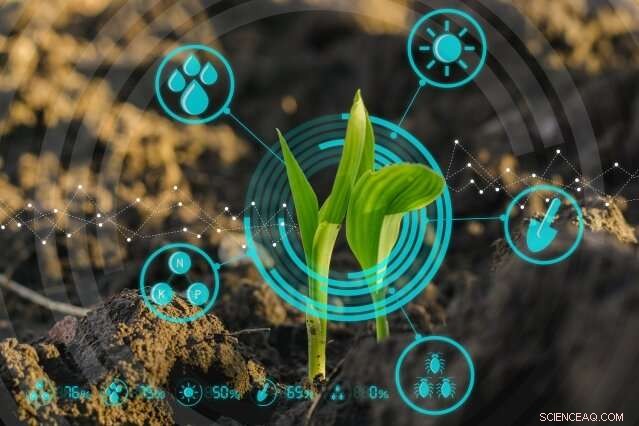 Harnessing Data and AI to Transform African Agriculture