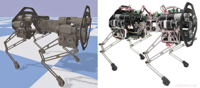 Optimizing Quadruped Locomotion: A Simulation Framework for Studying Spinal Joint Actuation